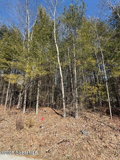 24 Sanford St, Warrensburg, NY 12885