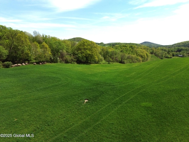 L4.2 State Route 372, Cambridge, NY 12834