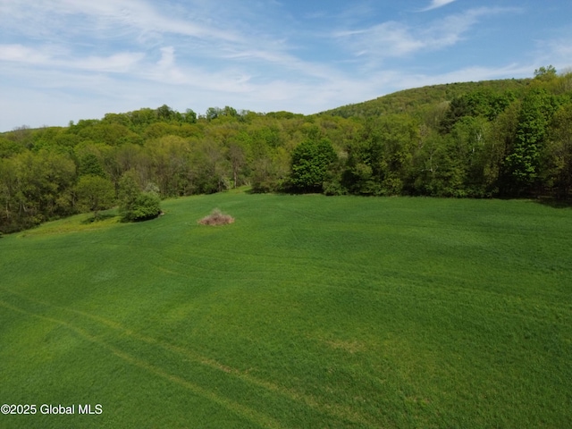 L4.2 State Route 372, Cambridge, NY 12834