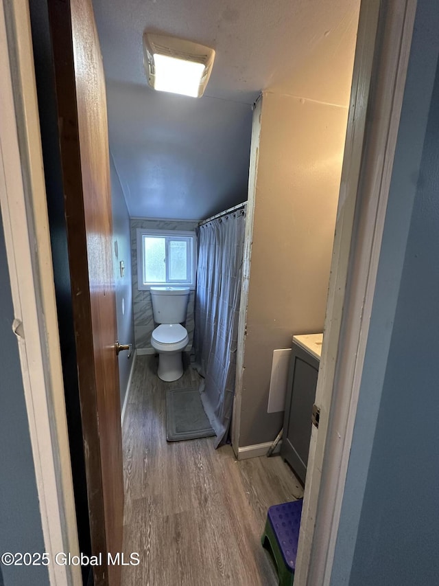 bathroom with wood finished floors, toilet, and vanity