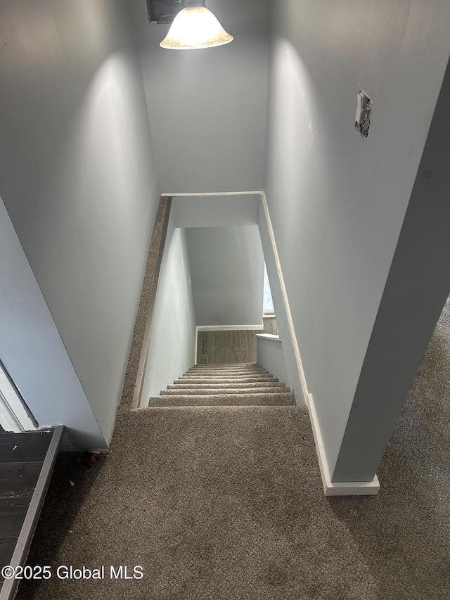 stairway featuring carpet flooring