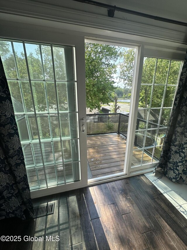entryway featuring wood-type flooring