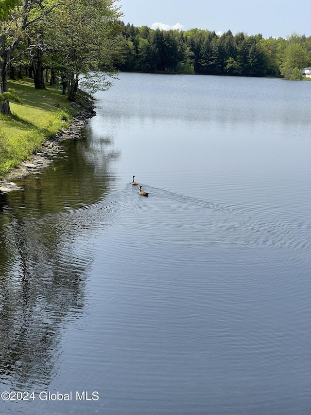 783 Woodstock Rd Lot 3, Berne, NY 12059 - water view