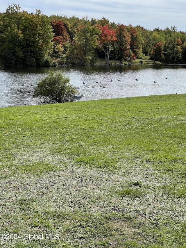 783 Woodstock Rd Lot 3, Berne, NY 12059 - water view featuring a forest