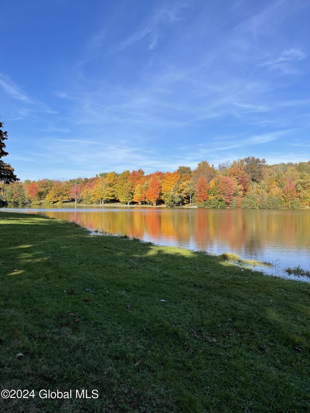 783 Woodstock Rd Lot 3, Berne, NY 12059 - water view featuring a forest