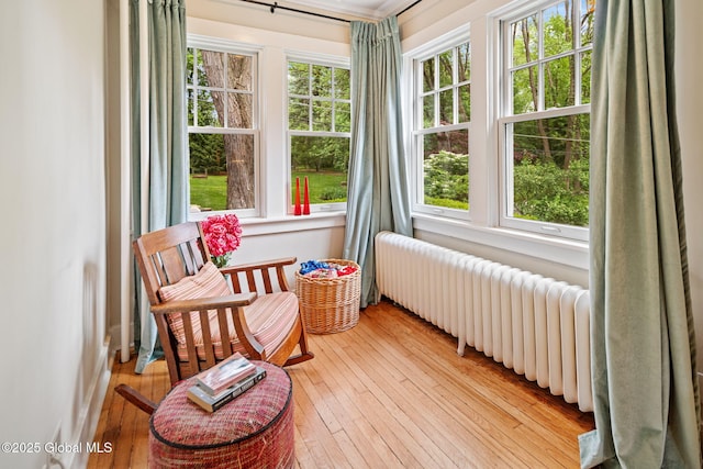 2 Loudon Pkwy, Colonie, NY 12211 - sunroom / solarium featuring radiator heating unit and hardwood / wood-style flooring