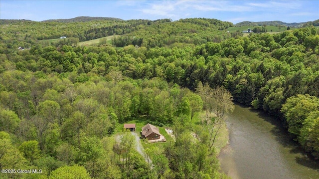 2158 State Route 29, Greenwich, NY 12834 - view of property location with a heavily wooded area