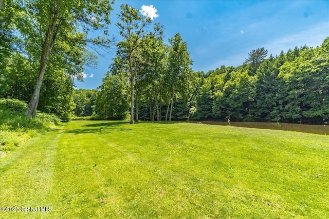 2158 State Route 29, Greenwich, NY 12834 - view of green lawn with a forest view