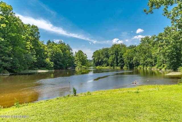 2158 State Route 29, Greenwich, NY 12834 - water view with a forest