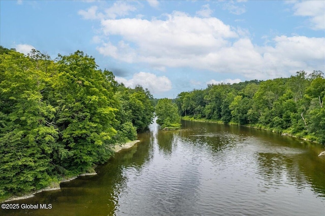 2158 State Route 29, Greenwich, NY 12834 - water view with a forest