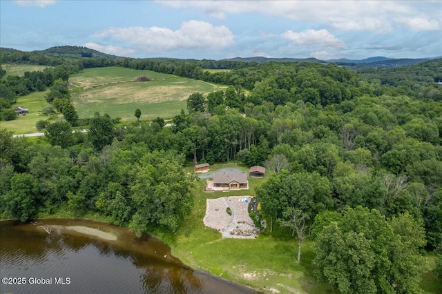 2158 State Route 29, Greenwich, NY 12834 - aerial overview of property's location with a heavily wooded area and a nearby body of water