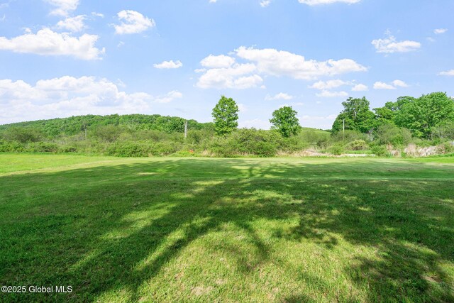 126 State Route 372, Cambridge, NY 12816 - photo 67