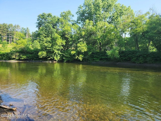 L9.1-4 Nealy Ln, Salem, NY 12865