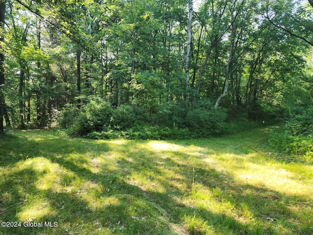 L9.1-4 Nealy Ln, Salem, NY 12865