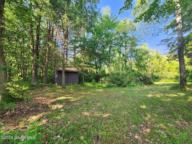 L9.1-4 Nealy Ln, Salem, NY 12865
