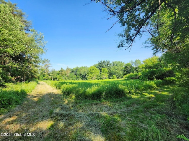 L9.1-4 Nealy Ln, Salem, NY 12865