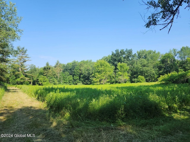L9.1-4 Nealy Ln, Salem, NY 12865