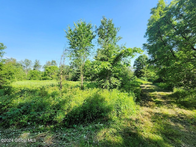 L9.1-4 Nealy Ln, Salem, NY 12865