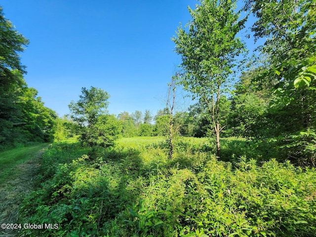 L9.1-4 Nealy Ln, Salem, NY 12865