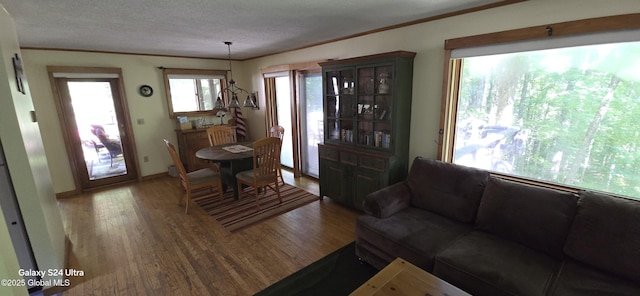 1758 US Route 9, Schroon, NY 12870 - living area featuring ornamental molding, wood finished floors, and baseboards