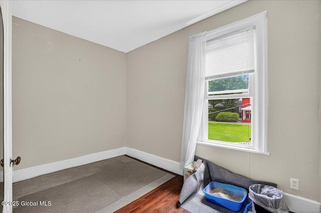 302 S William St, Johnstown, NY 12095 - unfurnished room featuring plenty of natural light and wood finished floors