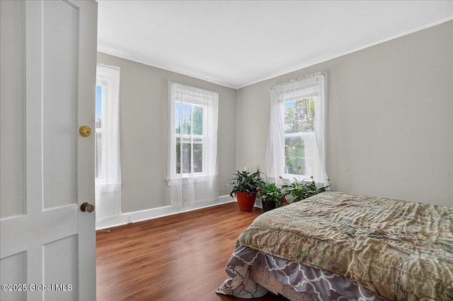 302 S William St, Johnstown, NY 12095 - bedroom featuring crown molding and wood finished floors