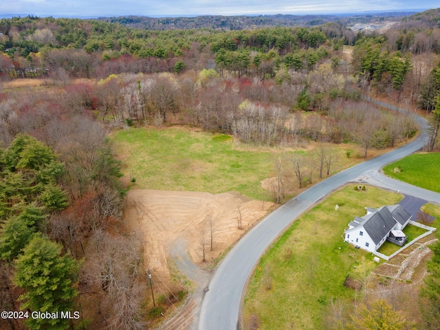 181 Springer Rd, Sand Lake, NY 12196 - photo 1