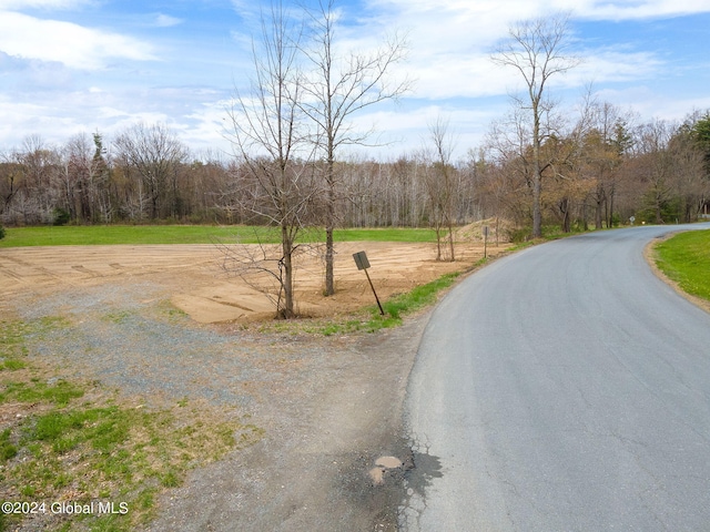 181 Springer Rd, Sand Lake, NY 12196 - photo 2