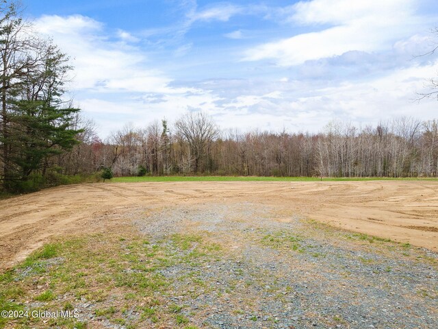 181 Springer Rd, Sand Lake, NY 12196 - photo 3