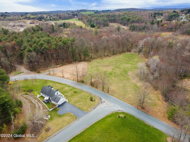 181 Springer Rd, Sand Lake, NY 12196 - photo 6