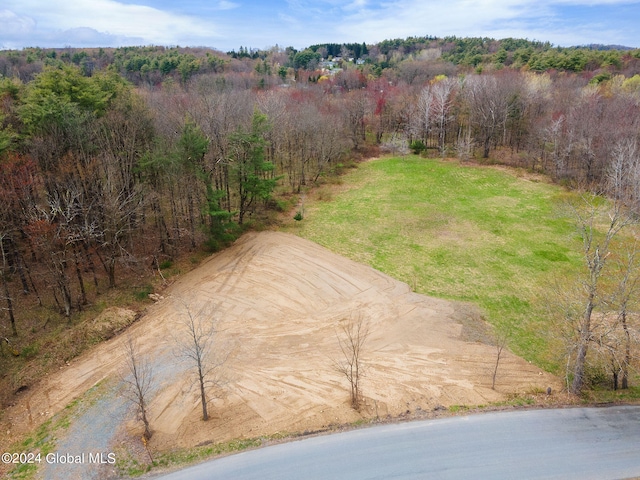 181 Springer Rd, Sand Lake, NY 12196 - photo 8