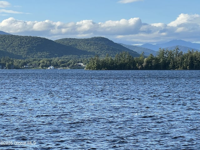 745 Adirondack Rd, Schroon Lake, NY 12870 - water view with a mountainous background