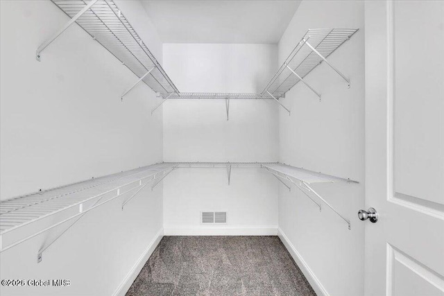 24 Nichols Rd, Wilton, NY 12831 - walk in closet with carpet flooring