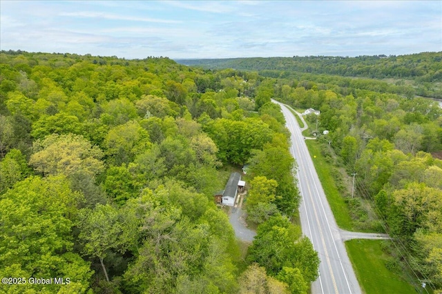 207 State Highway 5s, Florida, NY 12137 - aerial view of a forest
