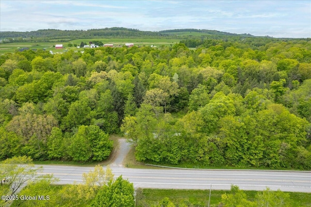 207 State Highway 5s, Florida, NY 12137 - aerial view of a forest