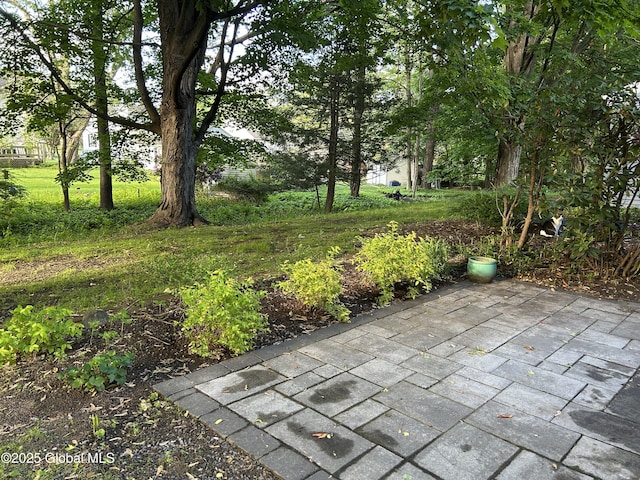 33 Oak Rd, Bethlehem, NY 12054 - view of patio
