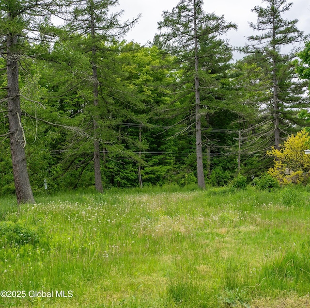 1356 W High St, Ballston Spa, NY 12020 - view of woods