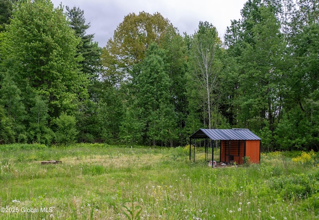 1356 W High St, Ballston Spa, NY 12020 - view of yard featuring a view of trees and an outdoor structure