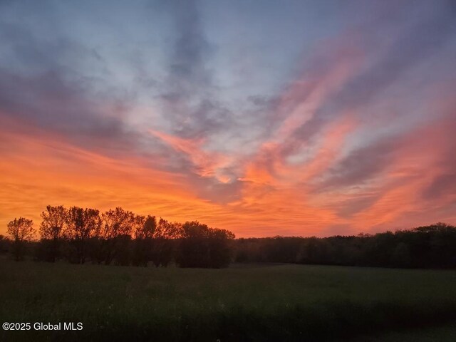 111 Mazur Rd, Florida, NY 12010 - view of nature at dusk