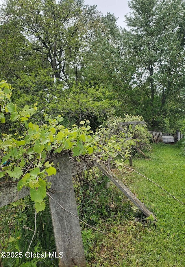 111 Mazur Rd, Florida, NY 12010 - view of yard