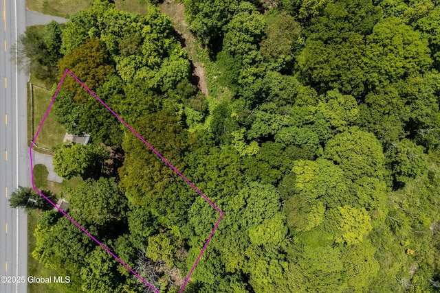 1301 State Route 313, Cambridge, NY 12816 - view of property location with property parcel outlined and a heavily wooded area