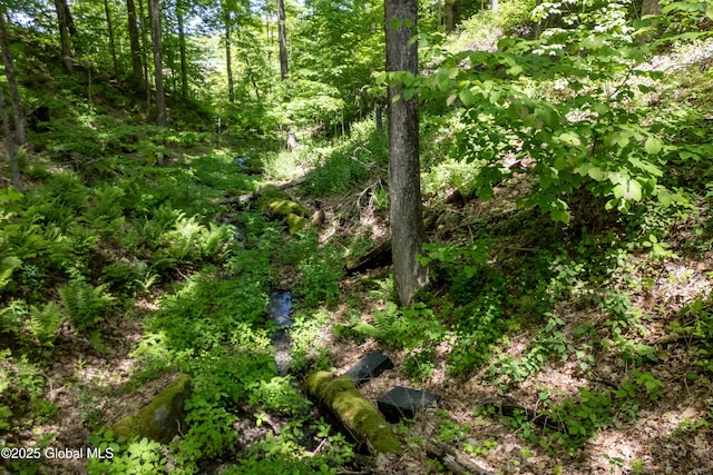 1301 State Route 313, Cambridge, NY 12816 - view of local wilderness