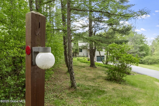 6175 Hawes Rd, Guilderland, NY 12009 - view of yard