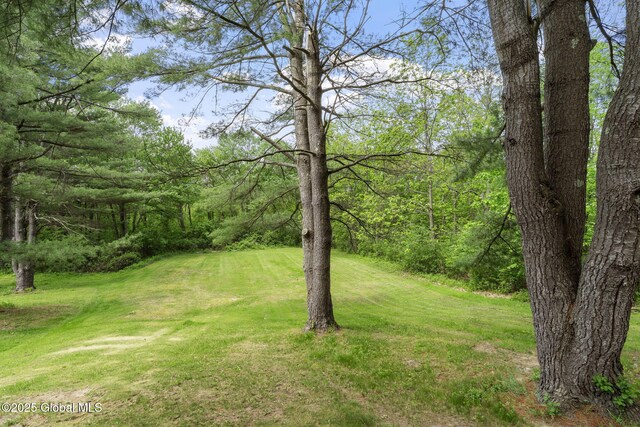 6175 Hawes Rd, Guilderland, NY 12009 - view of grassy yard