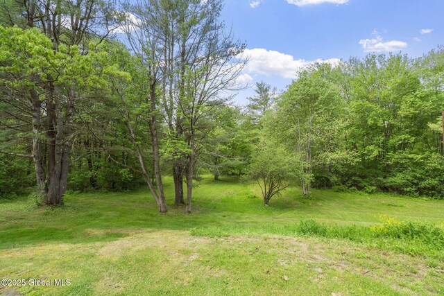 6175 Hawes Rd, Guilderland, NY 12009 - view of green lawn with a view of trees