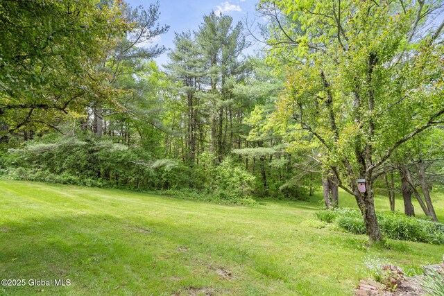 6175 Hawes Rd, Guilderland, NY 12009 - view of grassy yard