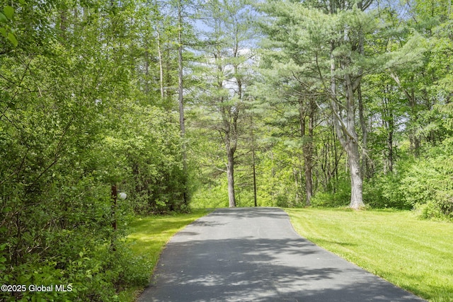 6175 Hawes Rd, Guilderland, NY 12009 - view of asphalt street with a wooded view