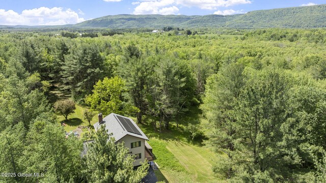 6175 Hawes Rd, Guilderland, NY 12009 - view of mountain background featuring a forest