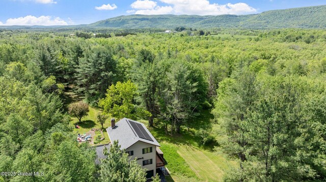 6175 Hawes Rd, Guilderland, NY 12009 - aerial view of property and surrounding area with a forest and a mountain backdrop