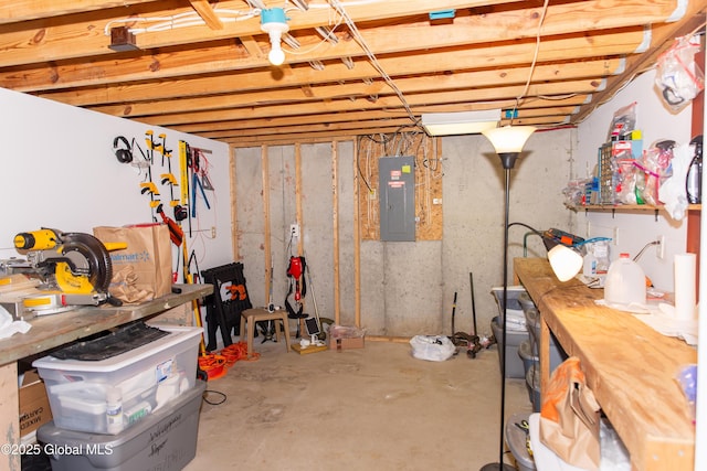 126 Hillside Rd, Duanesburg, NY 12137 - unfinished basement with electric panel